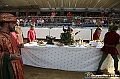 VBS_0897 - Palio di Asti 2024